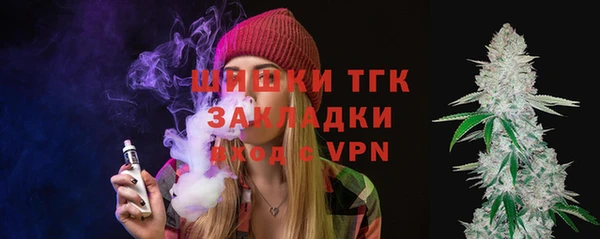 индика Алексеевка