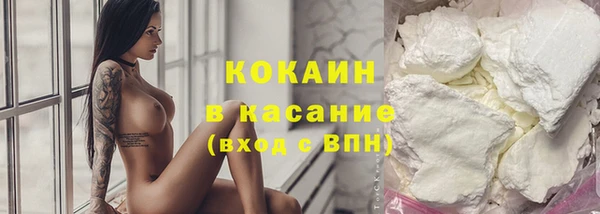 индика Алексеевка