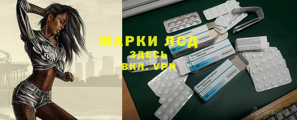 индика Алексеевка