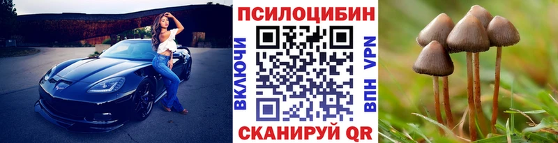 наркотики  Ревда  Псилоцибиновые грибы мухоморы 